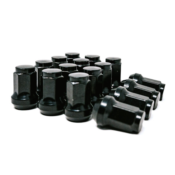 10x1.25 Lug Kit - Dunes 2 Dezert SXS