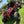 UTV Speed Polaris RZR XP 4 1000 / XP 4 Turbo / Turbo S 4 Standard Radius V2 cage – photo 3