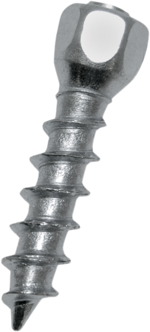 WOODY'S Twist Tire Screws - 25 mm - 500 Pack WST-0625-500