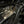 Economy Pro R Turbo Kit | Up to 450HP - Dunes 2 Dezert SXS