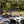 Poly Front Windshield Full Fixed Pol
