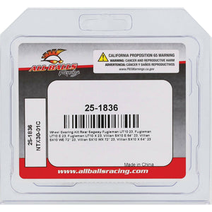 All Balls Racing rear wheel bearing kit for Segway UT10 and Villain SX10 P, view 4