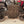 Polaris Ranger 570 Full Size Skid Plates w/ Sliders - Dunes 2 Dezert SXS