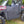 Trail Armor Ranger XP 1000 & Kinetic Half Doors - Dunes 2 Dezert SXS