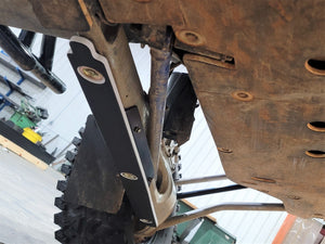 Trail Armor Polaris RZR PRO R Trailing Arm Guards - Dunes 2 Dezert SXS