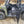 Trail Armor Ranger XP 900 & 1000 Premium Half Doors - Dunes 2 Dezert SXS