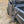 Trail Armor Ranger XP 900 & 1000 Premium Half Doors - Dunes 2 Dezert SXS