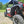 Trail Armor Mud Flaps for 2024–25 RZR XP 1000 / XP 4 - Dunes 2 Dezert SXS