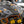 RPM Carbon Fiber Nose Panel Polaris RZR Pro R Turbo R - Dunes 2 Dezert SXS