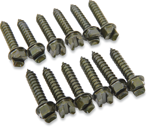 GOLD SCREWS Ice Screws - 7/8" - 1000 Pack 1250-0302