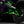 HCR Kawasaki Teryx H2 dual sport rear trailing arms