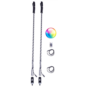 Remote LED Whip (WHIP ONLY) - Dunes 2 Dezert SXS