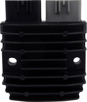 RM STATOR Charging Kit - Polaris RMS900-106872