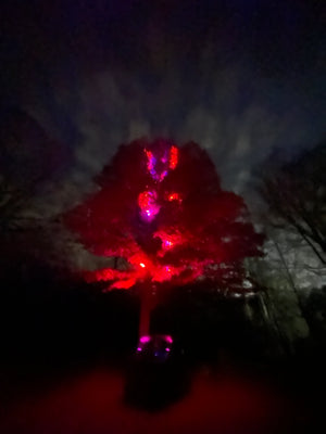 Marshin Whips: RGB Lunar Laser Light Kit