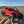 Polaris RZR Pro R 4 FB-V2 Cage (2025-2026) - Dunes 2 Dezert SXS