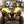 Trail Armor Can-Am Maverick Mud Flaps & Underbed Shield - Dunes 2 Dezert SXS
