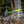 ARB Tree Protector 10Ft