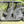 Trail Armor Can-Am Defender Under Bed Mud Shield - Dunes 2 Dezert SXS
