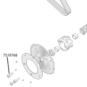 RPM Titanium Secondary Clutch Bolts – RZR Pro R - Dunes 2 Dezert SXS