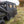 Rear Upper Soft Doors Pol