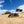 Single Day Whip – Magnetic Quick-Release | Marshin Whips - Dunes 2 Dezert SXS