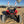 Polaris RZR Pro R 4 FB-V2 Cage (2025-2026) - Dunes 2 Dezert SXS