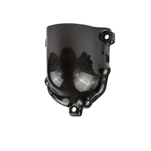 Kawasaki H2 Carbon Fiber Supercharger Cover | RPM - Dunes 2 Dezert SXS
