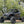 Madigan Motorsports RZR Pro R 2-Seat Roll Cage & Roof on a Polaris RZR Pro R — angle view
