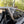 Madigan Motorsports RZR Pro R 2-Seat Roll Cage & Roof on a Polaris RZR Pro R — fitted view