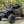 Madigan Motorsports RZR Pro R 2-Seat Roll Cage & Roof on a Polaris RZR Pro R — installed