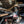 Madigan Motorsports RZR Pro R Spare Tire Mount on a Polaris RZR Pro R — mounting hardware