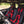 Can-Am Maverick R MAX Front Bump Seat (2025) - Dunes 2 Dezert SXS