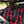 Can-Am Maverick R MAX Front Bump Seat (2025) - Dunes 2 Dezert SXS