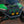 Polaris Xpedition V2 Front Bumper | SDR X-Plorer - Dunes 2 Dezert SXS