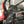 Polaris Pro R AGM Jack Mount Steel - Dunes 2 Dezert SXS