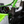 Kawasaki H2 Carbon Fiber Pillar Covers Kit | RPM - Dunes 2 Dezert SXS