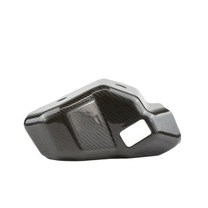 Kawasaki H2 Carbon Fiber Coolant Cover | RPM - Dunes 2 Dezert SXS