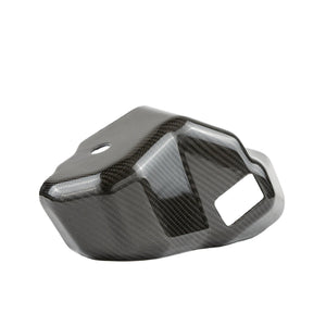 Kawasaki H2 Carbon Fiber Coolant Cover | RPM - Dunes 2 Dezert SXS