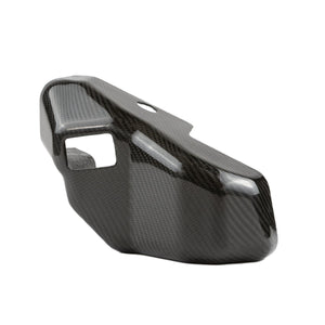 Kawasaki H2 Carbon Fiber Coolant Cover | RPM - Dunes 2 Dezert SXS