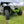 Trail Armor Skid Plates for Textron Wildcat XX (2018–2022) - Dunes 2 Dezert SXS