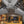 Trail Armor Can Am Maverick X3 X RS Turbo R, X3 Max X RS Turbo R, X3 X MR Turbo R, X3 X RC Turbo R, X3 Max Turbo R, X3 X RS Turbo RR, X3 Max X RS Turbo RR, X3 X MR Turbo RR, X3 Max X MR Turbo RR, X3 X RC Turbo RR Front iMpact Guards