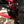 Honda Talon Trailing Arm Guards by Trail Armor - Dunes 2 Dezert SXS
