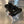 Black Billet Valve Cover Pro XP / Turbo R - Dunes 2 Dezert SXS