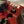 Red Billet Valve Cover Pro XP / Turbo R - Dunes 2 Dezert SXS