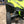 Trail Armor Honda Talon Mud Flap Fender Extensions - Dunes 2 Dezert SXS