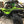Trail Armor Honda Talon Mud Flap Fender Extensions - Dunes 2 Dezert SXS