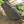 Kawasaki KRX 1000 Front A-Arm Guards | Trail Armor - Dunes 2 Dezert SXS