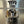 ARP Wheel Studs Pro R / Turbo R 12x1.5 - Dunes 2 Dezert SXS