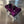 Purple Billet Valve Cover Pro XP / Turbo R - Dunes 2 Dezert SXS