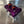 Purple Billet Valve Cover Pro XP / Turbo R - Dunes 2 Dezert SXS